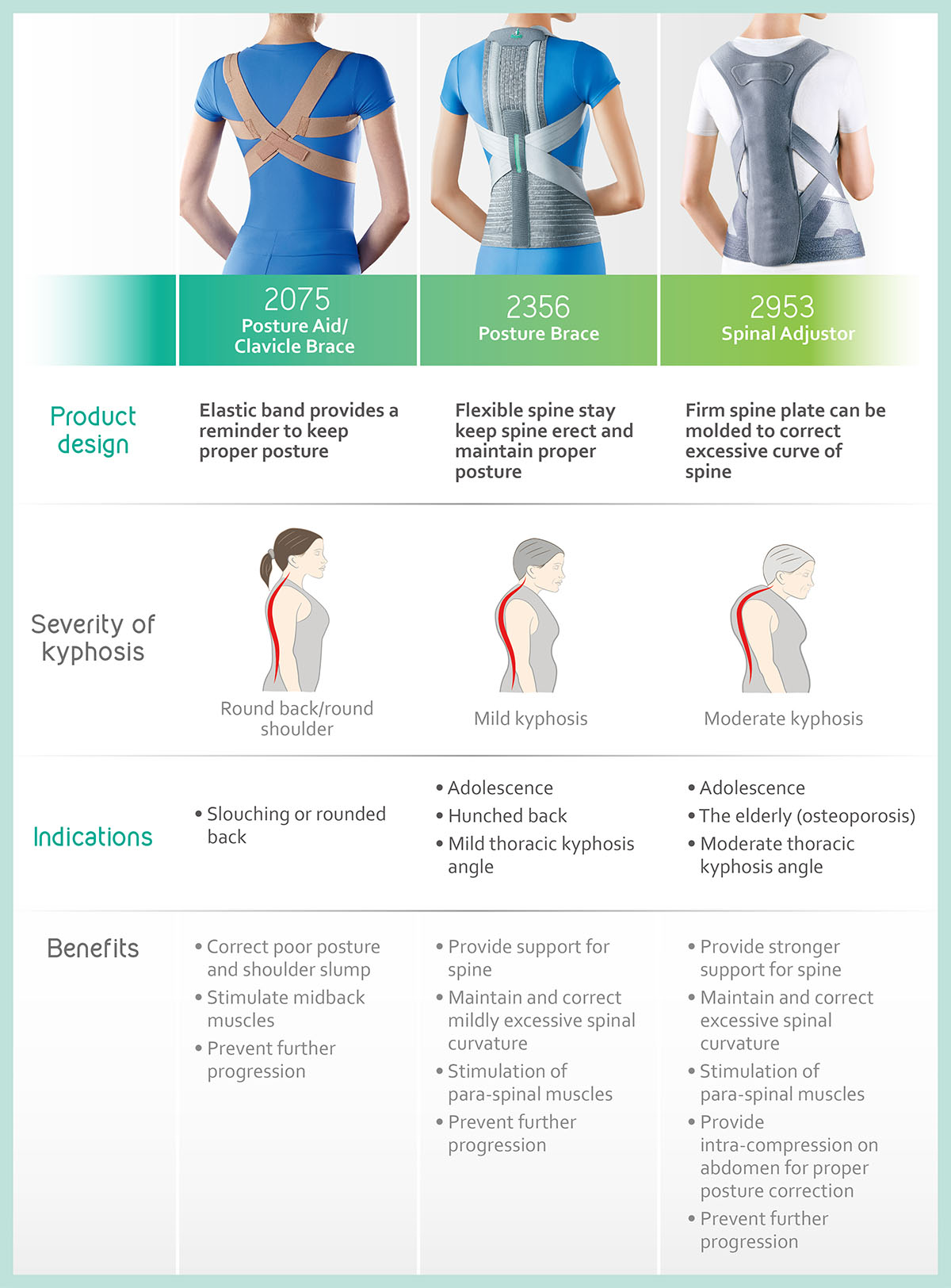 Kyphosis Brace Name